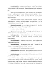 Marketingo tyrimas: teatrų populiarinimas 4 puslapis