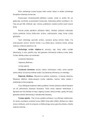 Marketingo tyrimas: teatrų populiarinimas 9 puslapis