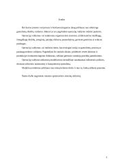 Masinio aptarnavimo sistemų teorijos taikymas praktikoje 3 puslapis