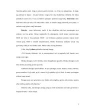 Žmogaus sielos grožis 4 puslapis