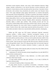 Mastrichto konvergencijos kriterijai ir Europos pinigų sąjunga (EMU) 19 puslapis