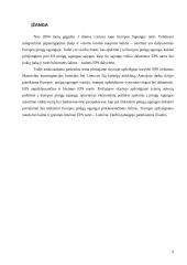 Mastrichto konvergencijos kriterijai ir Europos pinigų sąjunga (EMU) 3 puslapis