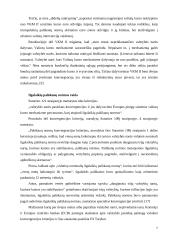 Mastrichto konvergencijos kriterijai ir Europos pinigų sąjunga (EMU) 7 puslapis