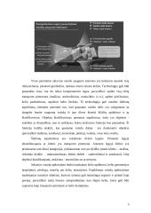 Mašinos trečioji akis 5 puslapis