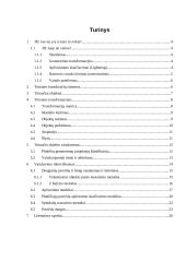 3D kompiuterinė grafika 2 puslapis