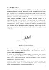 3D kompiuterinė grafika 16 puslapis