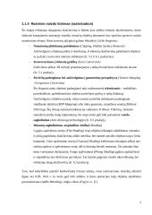 3D kompiuterinė grafika 5 puslapis