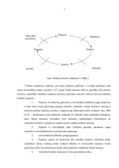 Mažeikių rajono savivaldybės biudžeto sudarymas ir vykdymas 13 puslapis