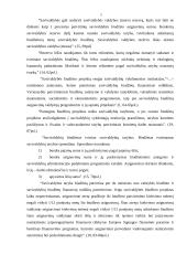 Mažeikių rajono savivaldybės biudžeto sudarymas ir vykdymas 15 puslapis