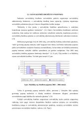 Mažeikių rajono savivaldybės biudžeto sudarymas ir vykdymas 18 puslapis