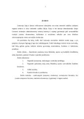 Mažeikių rajono savivaldybės biudžeto sudarymas ir vykdymas 3 puslapis