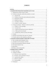 Mažmeninė prekyba Rimi pavyzdžiu 2 puslapis