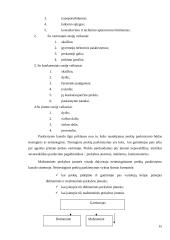 Mažmeninė prekyba Rimi pavyzdžiu 15 puslapis