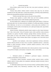 Mažmeninė prekyba Rimi pavyzdžiu 18 puslapis