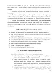 Mažmeninė prekyba Rimi pavyzdžiu 19 puslapis