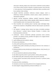 Mažmeninė prekyba Rimi pavyzdžiu 20 puslapis