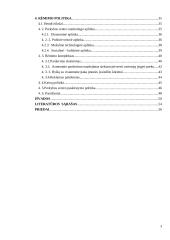 Mažmeninė prekyba Rimi pavyzdžiu 3 puslapis