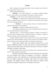 Mažmeninė prekyba Rimi pavyzdžiu 4 puslapis