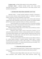 Mažmeninė prekyba Rimi pavyzdžiu 6 puslapis