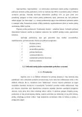 Mažmeninė prekyba Rimi pavyzdžiu 8 puslapis