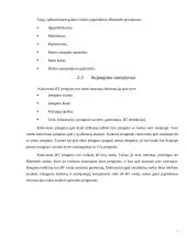 Bevielio ryšio technologija Bluetooth 7 puslapis