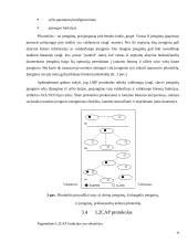 Bevielio ryšio technologija Bluetooth 10 puslapis