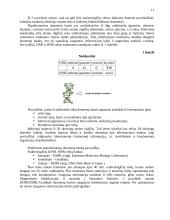 Bioinformatikos mokslas 11 puslapis