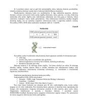 Bioinformatikos mokslas 11 puslapis