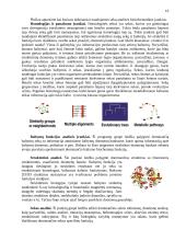Bioinformatikos mokslas 16 puslapis
