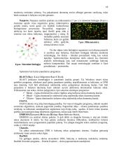 Bioinformatikos mokslas 18 puslapis