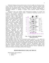Bioinformatikos mokslas 8 puslapis