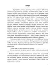 Medienos apdirbimo staklių projektas 2 puslapis