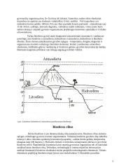 Biosfera ir evoliucija 3 puslapis