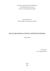 Metalai bei mineralai Juditos Vaičiūnaitės kūryboje