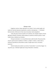 Metalai bei mineralai Juditos Vaičiūnaitės kūryboje 15 puslapis