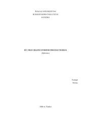 Dž. Viko ciklinė istorinio proceso teorija