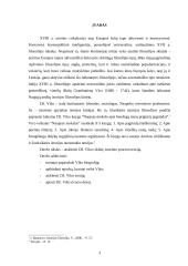 Dž. Viko ciklinė istorinio proceso teorija 3 puslapis