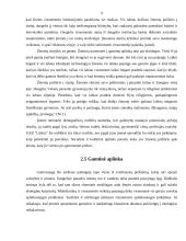 Mikro ir makro aplinkos analizė: UAB "Lielius" 11 puslapis