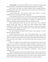 Mikro ir makro aplinkos analizė: UAB "Lielius" 12 puslapis