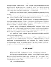 Mikro ir makro aplinkos analizė: UAB "Lielius" 14 puslapis