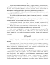 Mikro ir makro aplinkos analizė: UAB "Lielius" 16 puslapis