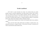 Mikro ir makro aplinkos analizė: UAB "Lielius" 19 puslapis