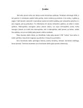 Mikro ir makro aplinkos analizė: UAB "Lielius" 3 puslapis