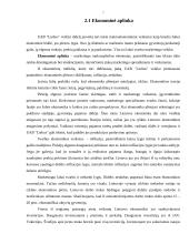 Mikro ir makro aplinkos analizė: UAB "Lielius" 6 puslapis