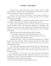 Mikro ir makro aplinkos analizė: UAB "Lielius" 8 puslapis