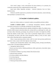 Mikro ir makro aplinkos analizė: UAB "Lielius" 9 puslapis