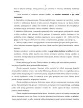 Mikro ir makro aplinkos analizė: UAB "Lielius" 10 puslapis