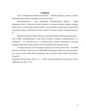 Mikroprocesorių Intel 80x86 komandų sistemos analizė 2 puslapis