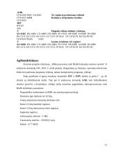 Mikroprocesorių Intel 80x86 komandų sistemos analizė 10 puslapis