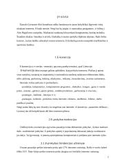 E-prekyba 2 puslapis